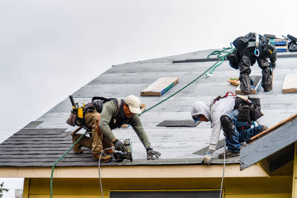 Professional Gutter Installation technician working in Newbury, MA